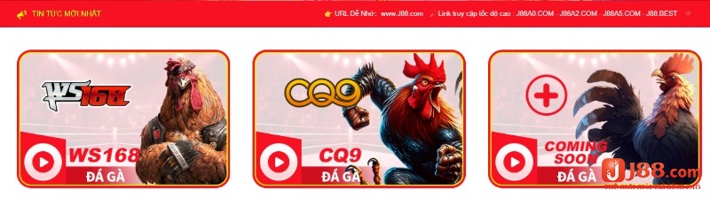 Chọn sảnh game WS168 để chơi đá gà Thomo nhanh chóng