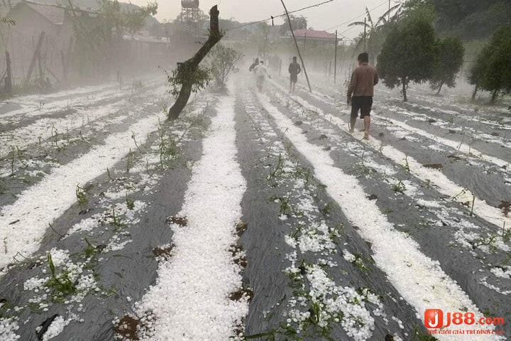 Mộng thấy mưa đá rơi vào đầu là dấu hiệu của một tai họa sắp xảy đến