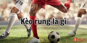 Kèo rung là gì? Cách đọc hiểu bắt kèo cược rung trong bóng đá