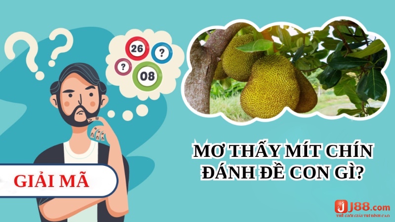 Chơi số nào dễ trúng khi mơ thấy mít chín Chơi số nào dễ trúng khi mơ thấy mít chín