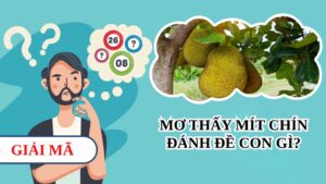 Mơ thấy mít chín đánh đề con gì may mắn và giải mã chi tiết