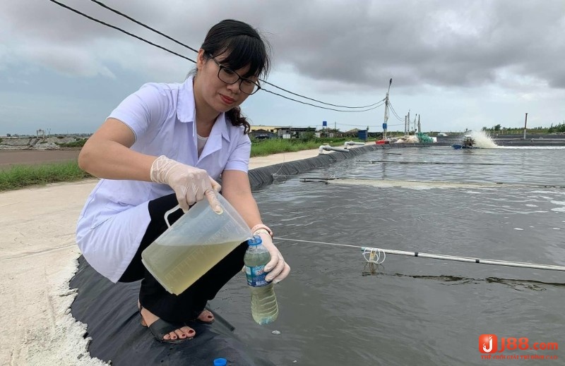 Mơ thấy múc nước từ ao hồ là dấu hiệu mối quan hệ quá khứ đang tác động đến bạn