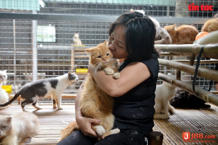 Mơ người quen cho mèo báo hiệu mối quan hệ giữa bạn và người đó đang ngày càng thân thiết